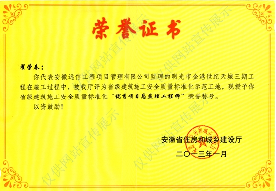 優(yōu)秀項(xiàng)目總監(jiān)理工程師